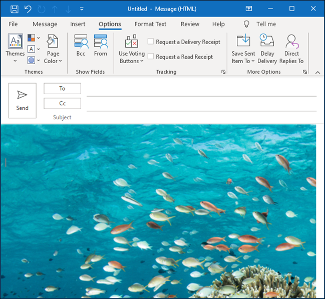 Un correo electrónico de Outlook con una imagen submarina de peces tropicales como fondo.