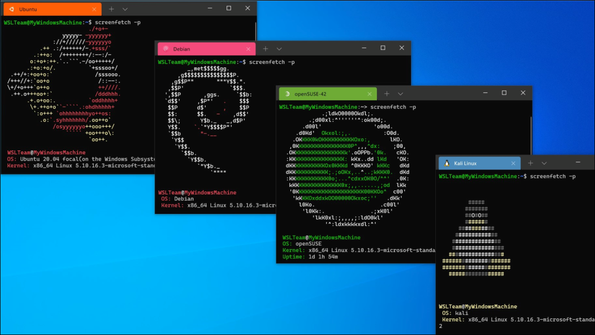 Ubuntu, Debian, openSUSE y Kali Linux se ejecutan en WSL en Windows.