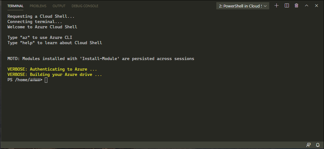   Once you have authenticated, the PowerShell terminal will be available to you.