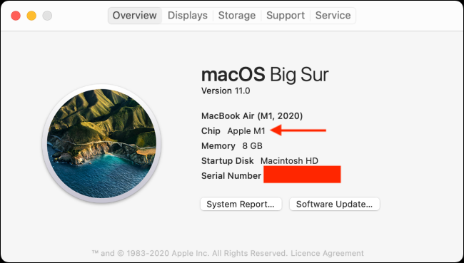 Sección de chips en Acerca de esta Mac