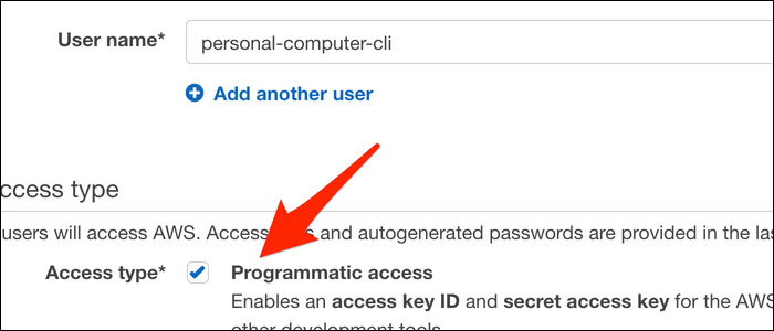 Nombre el usuario y establezca el tipo de acceso en "Acceso programático".