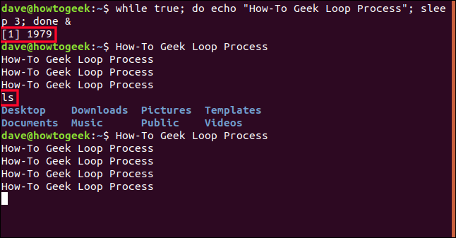 output of the background loop process interspersed with the output of other commands