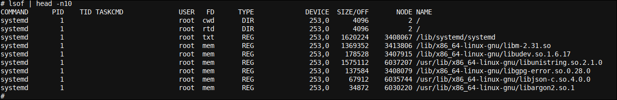 Inicio de la salida lsof y los nombres de las columnas lsof en una terminal Bash