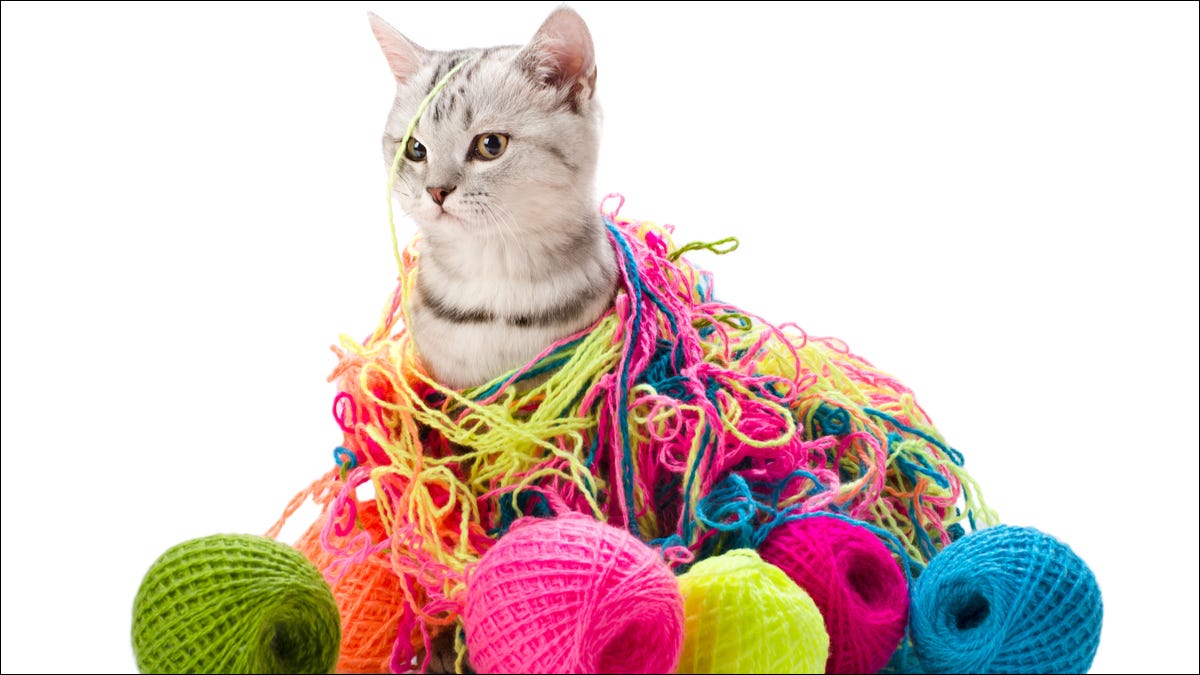 chat jouant avec du fil