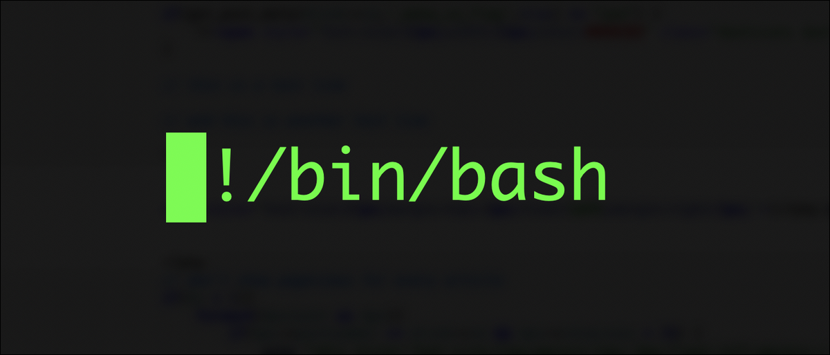 Bash Shell