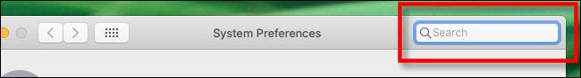 Barra de búsqueda de preferencias del sistema en Mac