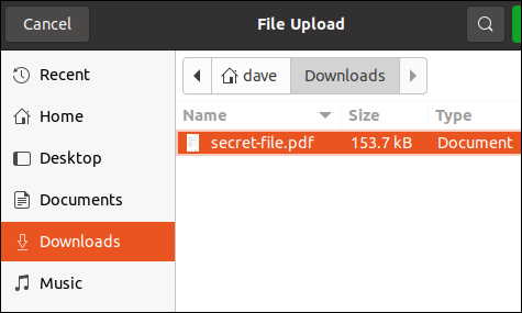 Finestra di selezione file con un file selezionato