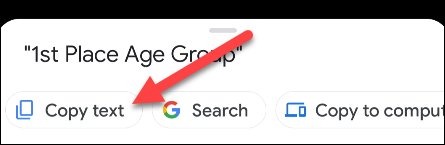 Toca "Copiar texto".