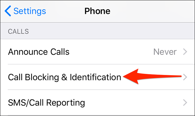 Toca "Bloqueo e identificación de llamadas" en la configuración de "Teléfono" del iPhone.