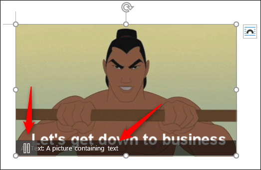 GIF animado con un botón de pausa y texto alternativo