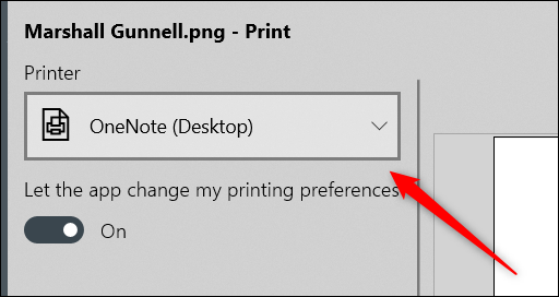 Haga clic en el cuadro debajo de la opción "Impresora".