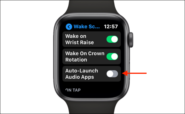 Schermata In riproduzione su Apple Watch