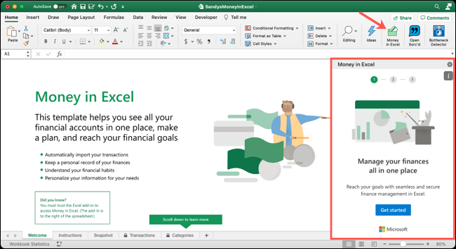 Haga clic en Money en Excel para mostrar el panel