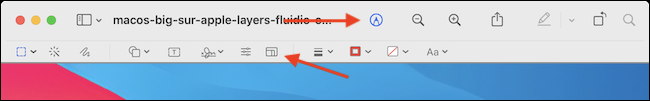 Seleccione el botón Editar y luego haga clic en el botón Cambiar tamaño de la barra de herramientas.