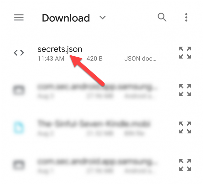 Seleccione "secrets.json" en la carpeta "Descargar".