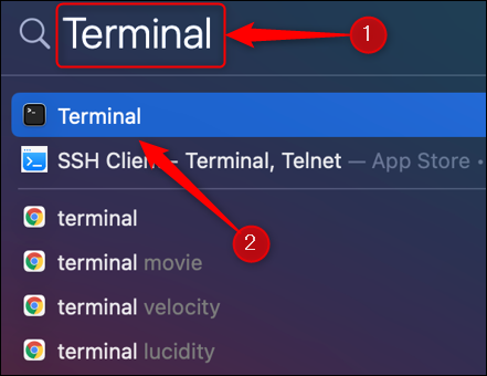 Busque "Terminal" en Spotlight Search y presione "Volver".