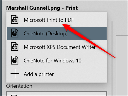 Seleccione la opción "Microsoft Print to PDF".