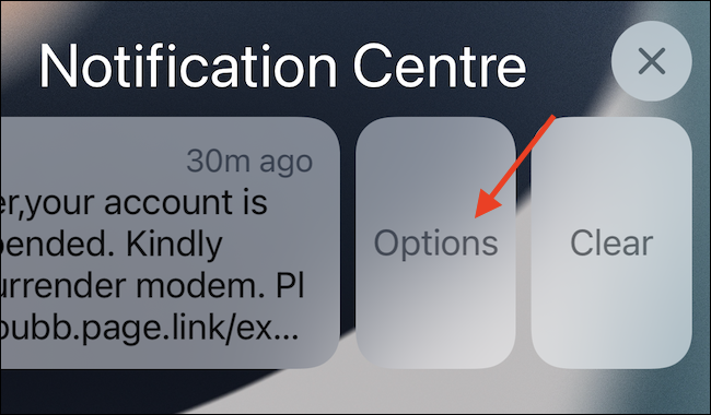 Después de deslizar el dedo, toque el botón "Opciones" para obtener sus opciones para esa notificación.