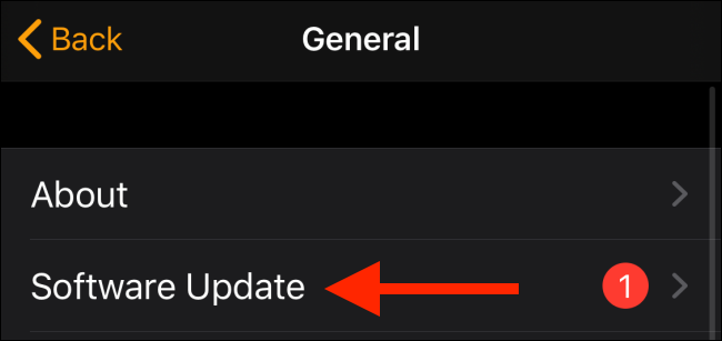 Appuyez sur Mise à jour du logiciel dans l'application Watch