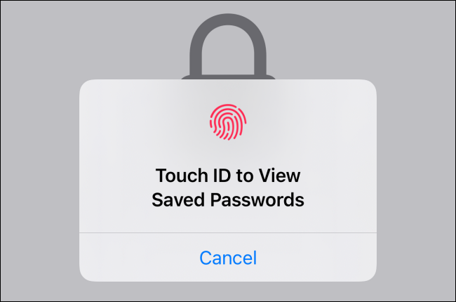Utilice Face ID o Touch ID para acceder y ver las contraseñas guardadas.