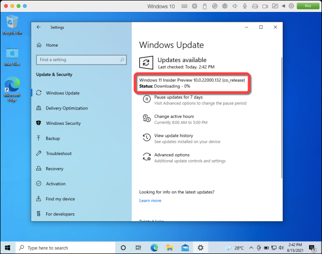 Download della compilazione di Windows 11.