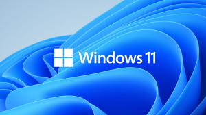 windows-11-logo-1607454-5110827-png-5665469