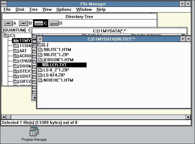File manager running on Windows 3.0