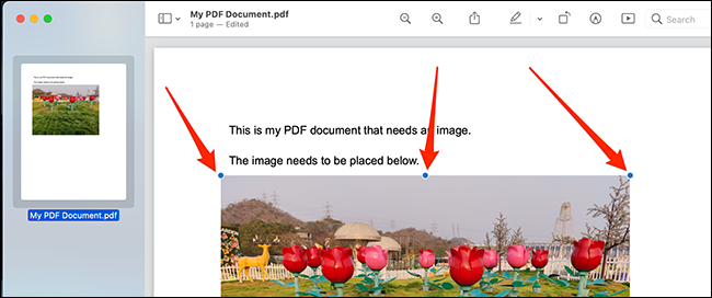 Utilice los identificadores de objetos para colocar y cambiar el tamaño de su imagen en el archivo PDF.