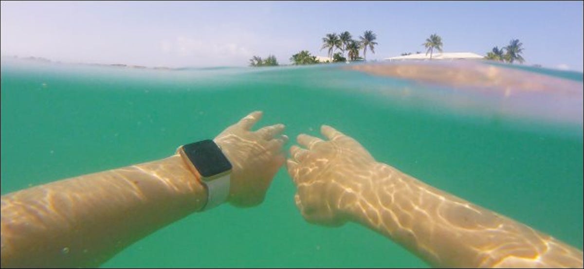 Un hombre que llevaba un Apple Watch mientras nadaba bajo el agua en el océano.