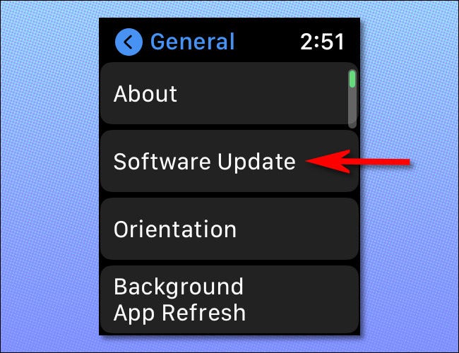 En la configuración de Apple Watch, toque "Actualización de software".