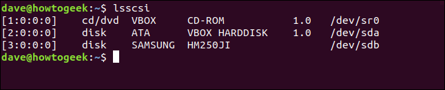 Salida lsscsi en un terminal widnow