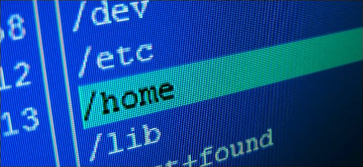 El directorio / home resaltado en un administrador de archivos gráfico de Linux.