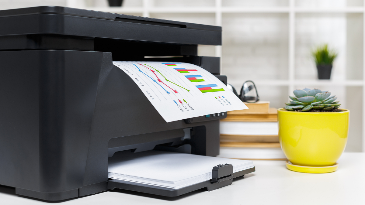 Una impresora doméstica que imprime coloridas hojas de cálculo junto a una suculenta en maceta.