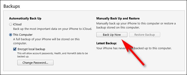 En iTunes, haga clic en "Hacer copia de seguridad ahora".