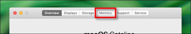 En la ventana "Acerca de esta Mac", haz clic en la pestaña "Memoria".