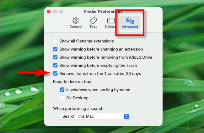 En las Preferencias del Finder, haga clic en "Avanzado", luego marque "Eliminar elementos de la Papelera después de 30 días".