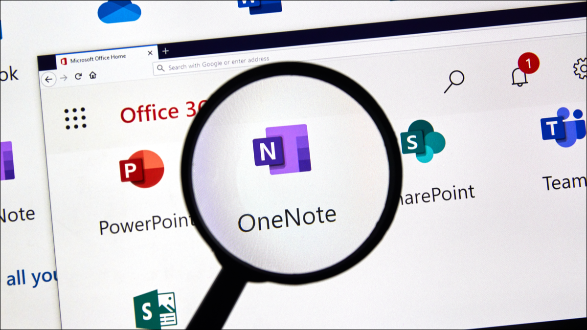 Logo OneNote con lente d'ingrandimento