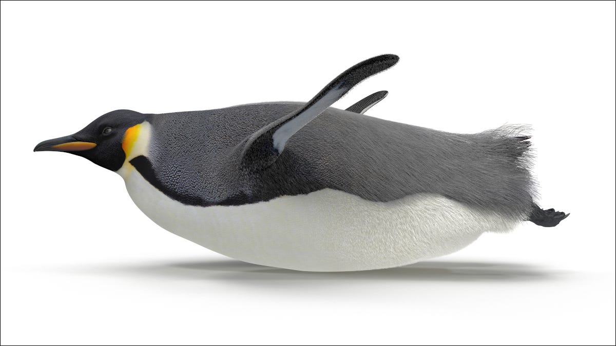 Un pingüino deslizándose rápido sobre su estómago.