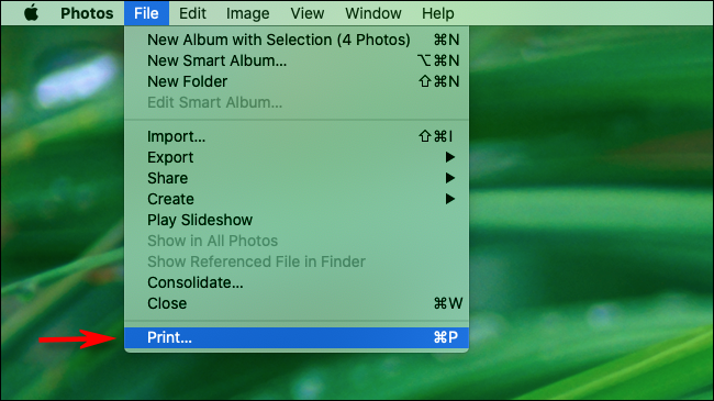 Seleccione Archivo e imprimir en la barra de menú en Fotos en Mac