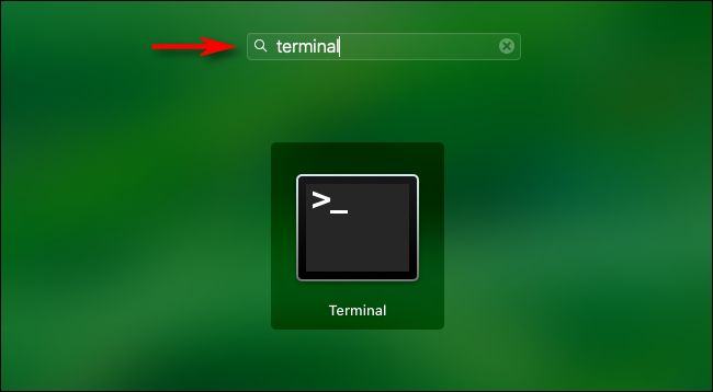 Abra Launchpad y escriba "terminal", luego presione enter.