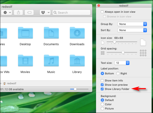 Mostrar opciones de visualización en el Finder para ver la carpeta de la biblioteca en Mac