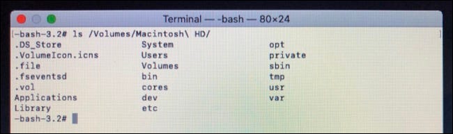Mostrar el contenido del directorio en la terminal