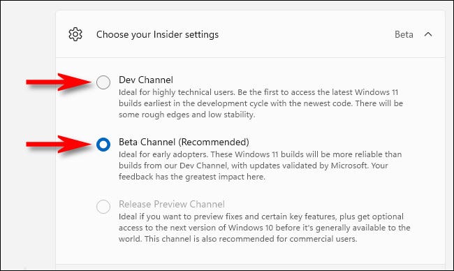 Haga clic en el botón circular junto a "Dev Channel" o "Beta Channel".