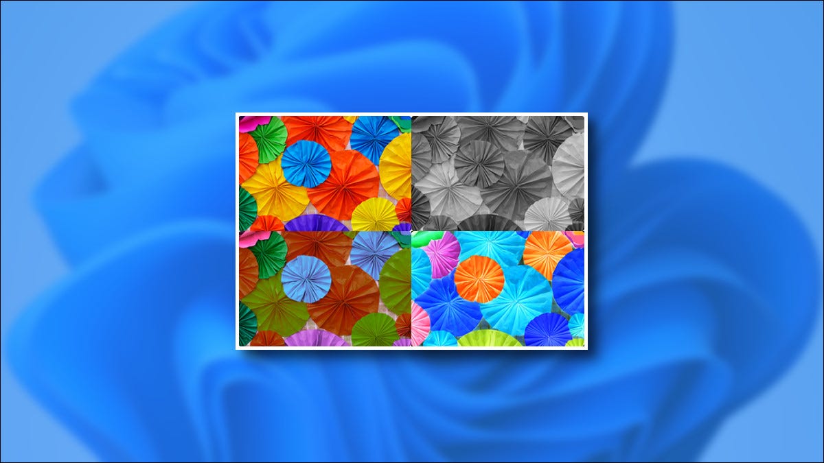 Ejemplos de imágenes de filtros de color de Windows 11