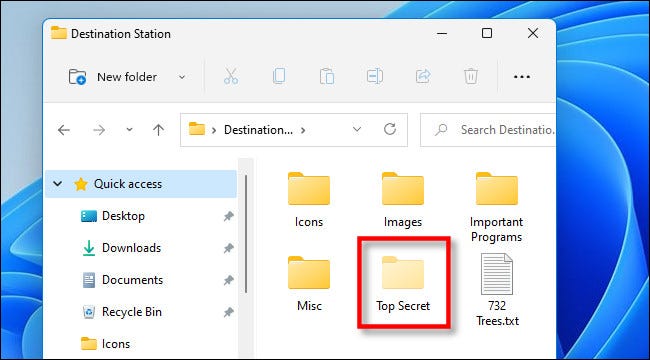 Quando eles se tornam visíveis, as pastas ocultas aparecerão translúcidas ou desbotadas no Windows 11.
